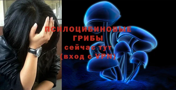 героин Алексин